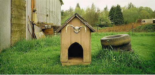 完全版来了！ 《太吾绘卷：天幕心帷》将于2026年春节上线